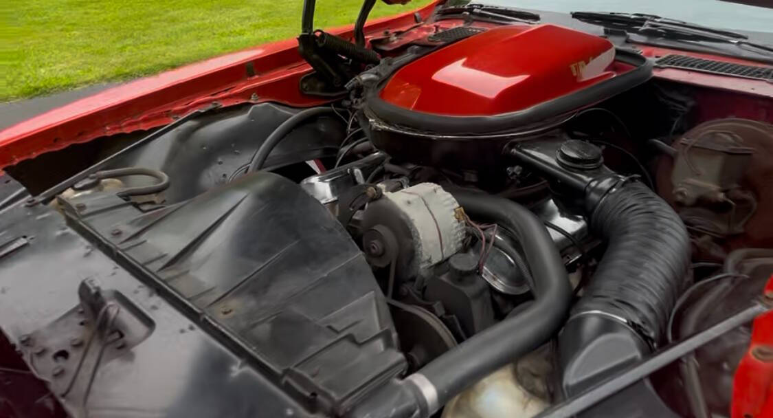 1977 Pontiac Firebird Trans Am 4