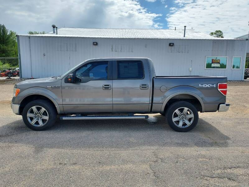 2012 Ford F-150 for sale at Steve Winnie Auto Sales in Edmore MI