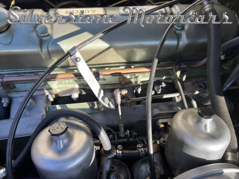 1966 Austin-Healey 3000