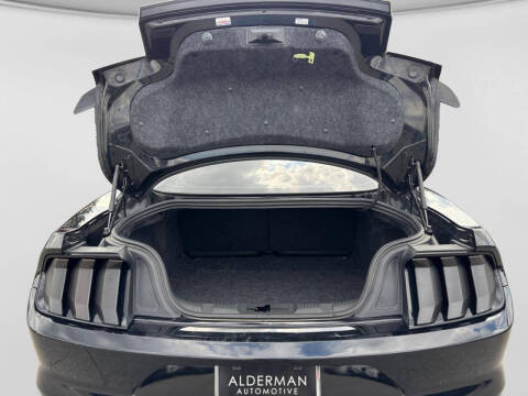 2019 Ford Mustang GT