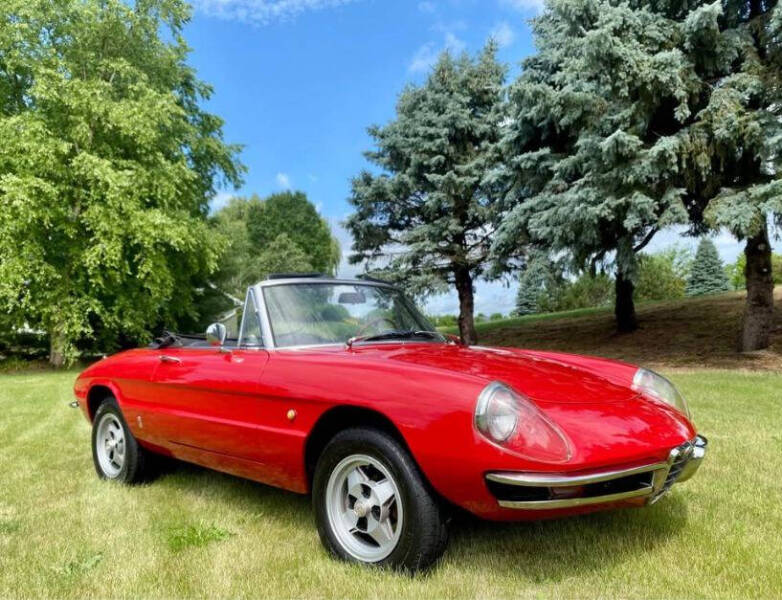 1967 Alfa Romeo Spider