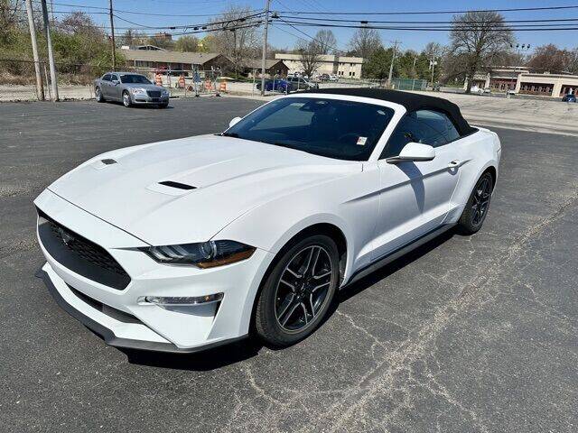 2021 Ford Mustang for sale at MATHEWS FORD in Marion OH