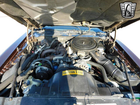 1981 Pontiac Firebird Trans Am