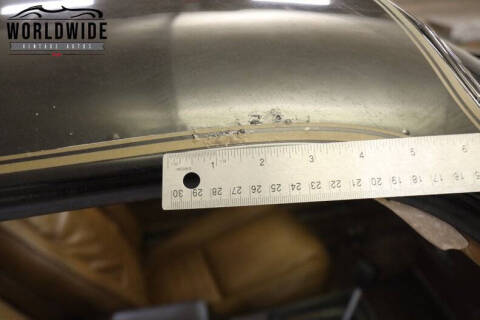 1981 Pontiac Firebird Trans Am