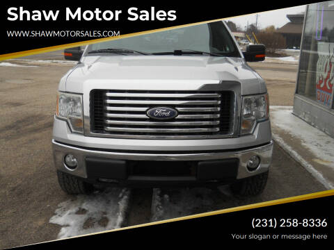 2010 Ford F-150 for sale at Shaw Motor Sales in Kalkaska MI