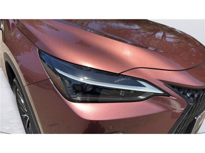 2025 Lexus NX 250