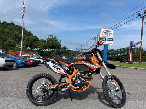 2024 TrailMaster TM 38E-300