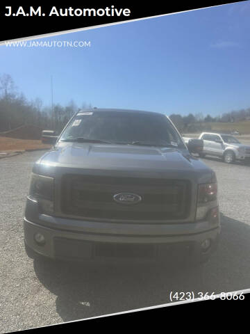 2014 Ford F-150 for sale at J.A.M. Automotive in Surgoinsville TN