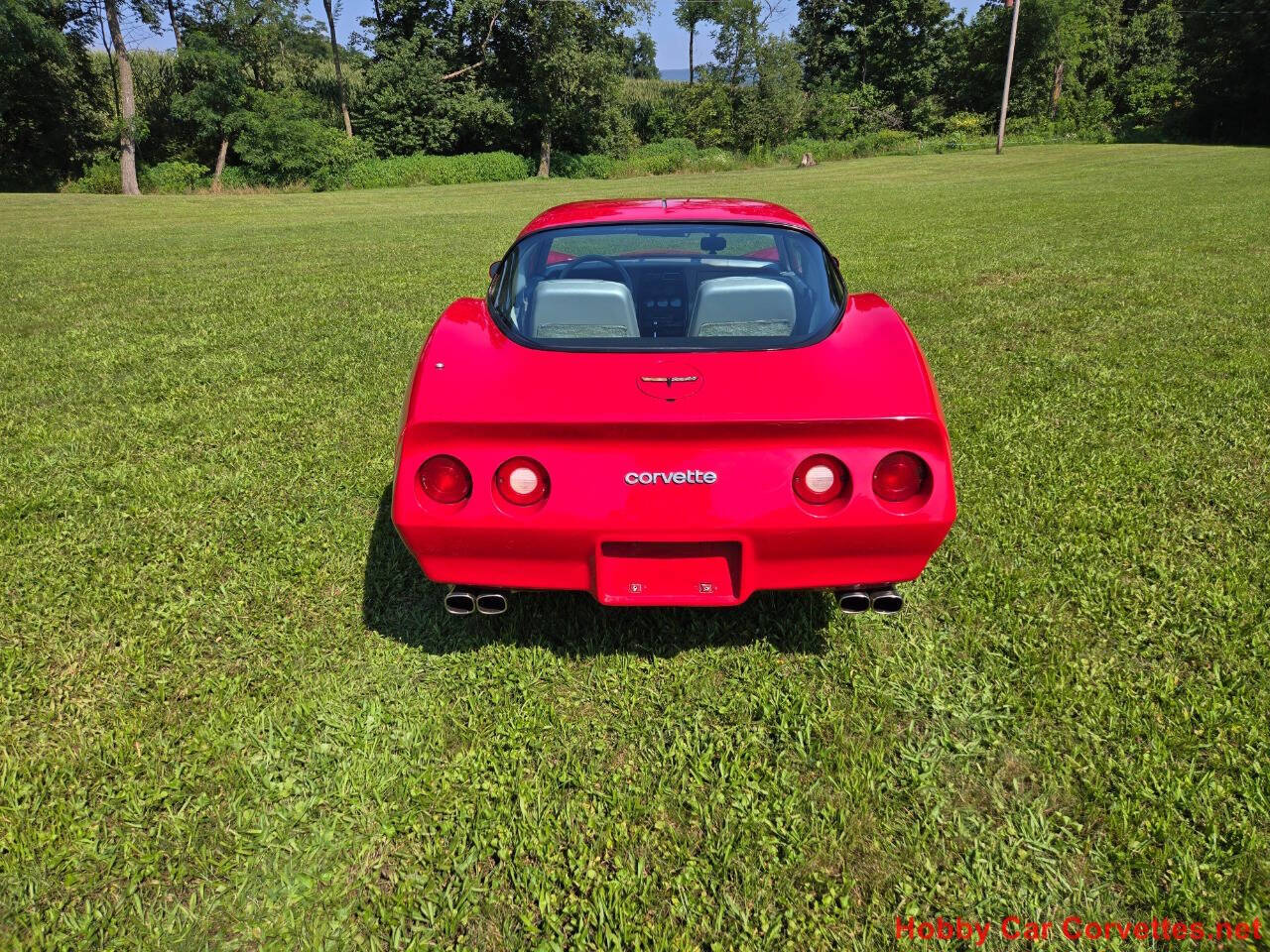 1981 Chevrolet Corvette 10