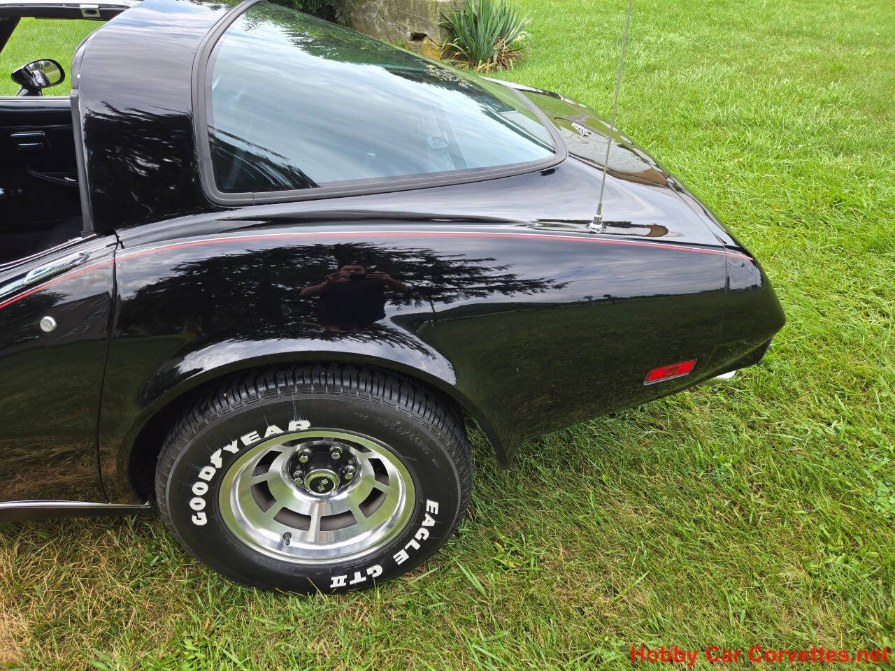 1979 Chevrolet Corvette 15