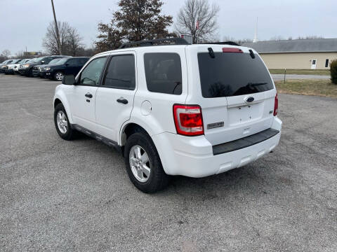 2010 Ford Escape XLT