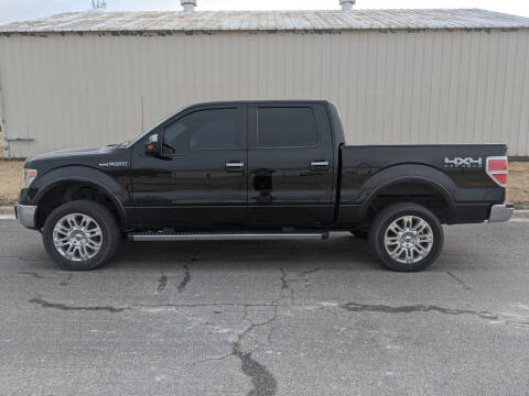 2014 Ford F-150 for sale at TNK Autos in Inman KS