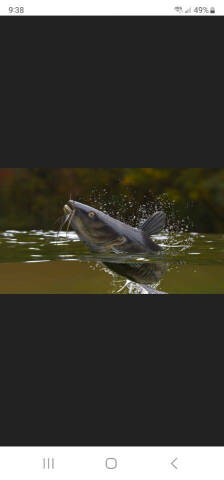  River PROPERTY  Land for sale at CLASSIC MOTOR SPORTS in Winters TX