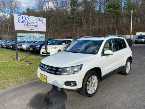 2015 Volkswagen Tiguan for sale at WS Auto Sales in Castleton On Hudson NY