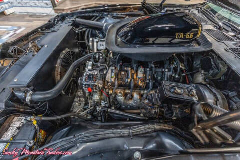 1976 Pontiac Trans Am