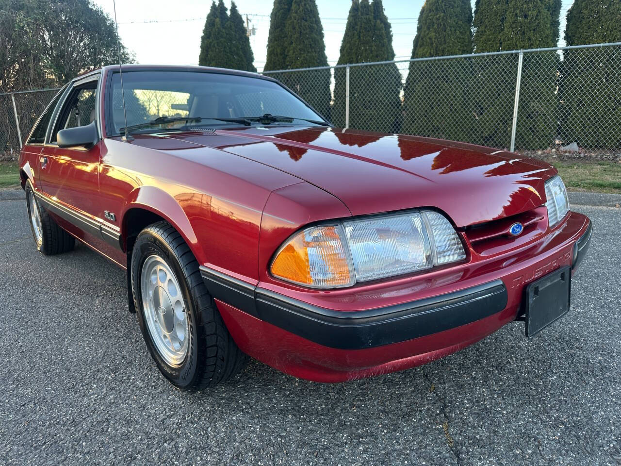 1990 Ford Mustang 14