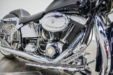 2009 Harley-Davidson FLTSN