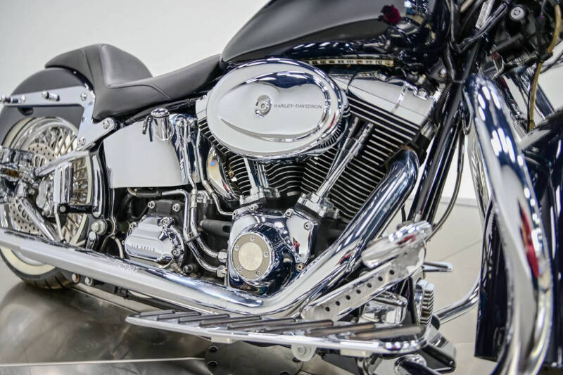 2009 Harley-Davidson FLTSN