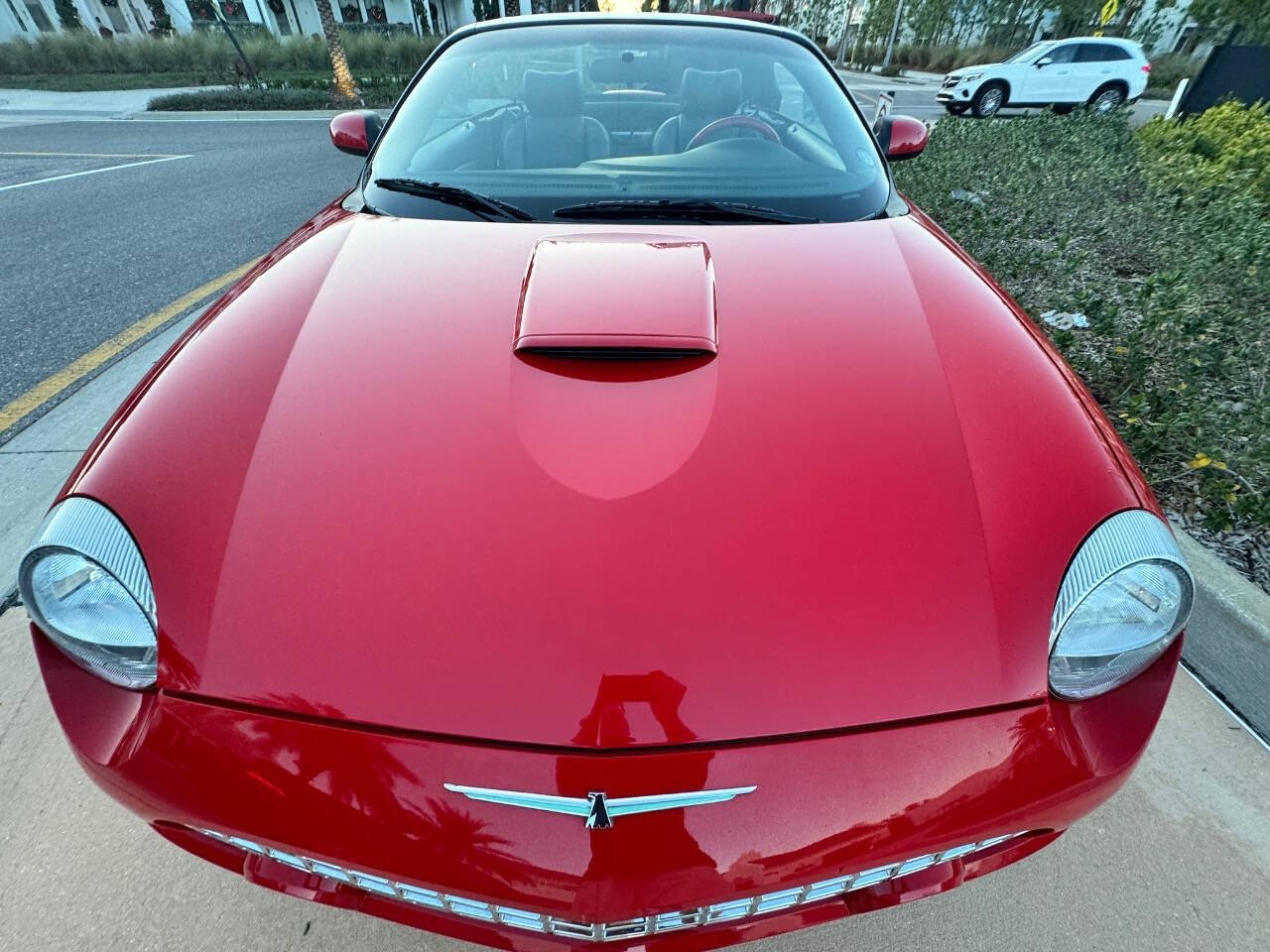 2004 Ford Thunderbird for sale at EUROPEAN MOTORCARS OF TAMPA in Tampa, FL