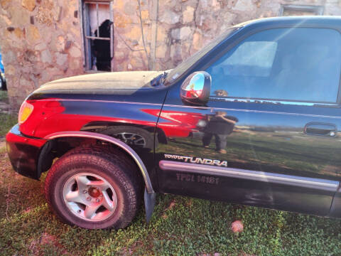 2003 Toyota Tundra for sale at CLASSIC MOTOR SPORTS in Winters TX