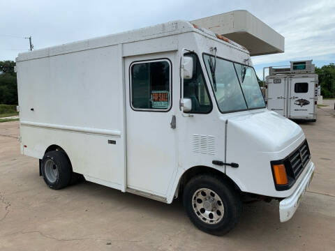 2003 Workhorse P42
