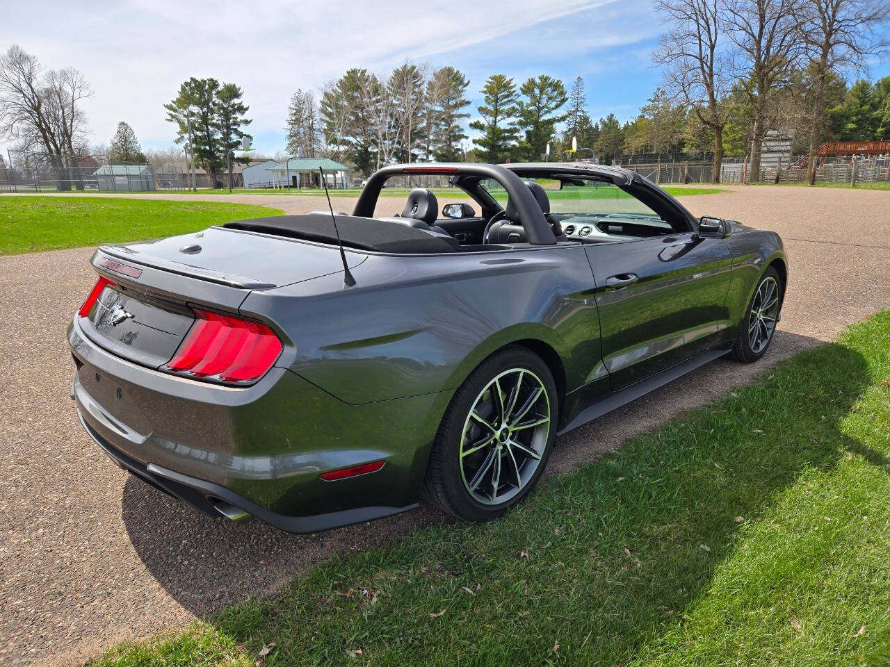 2019 Ford Mustang 15