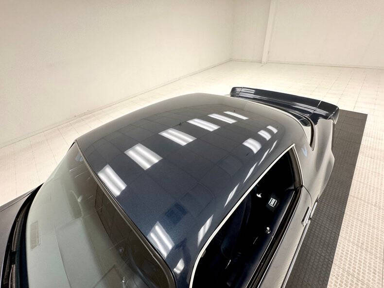 1981 Pontiac Firebird Trans Am