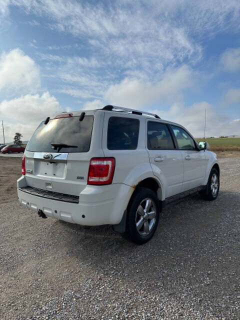 2010 Ford Escape for sale at Maahs Motors in Becker, MN