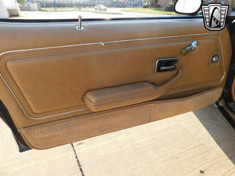 1981 Pontiac Firebird Trans Am