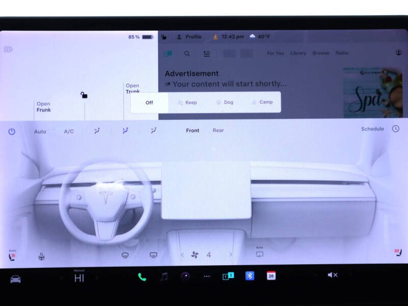 2021 Tesla Model Y Performance
