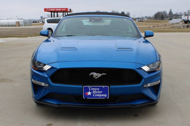 2021 Ford Mustang for sale at Cresco Motor Company in Cresco, IA