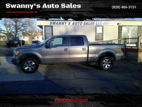 2012 Ford F-150 for sale at Swanny's Auto Sales in Newton NC