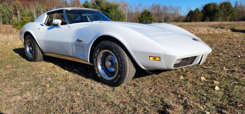 1974 Chevrolet Corvette for sale at Mad Muscle Garage in Belle Plaine MN
