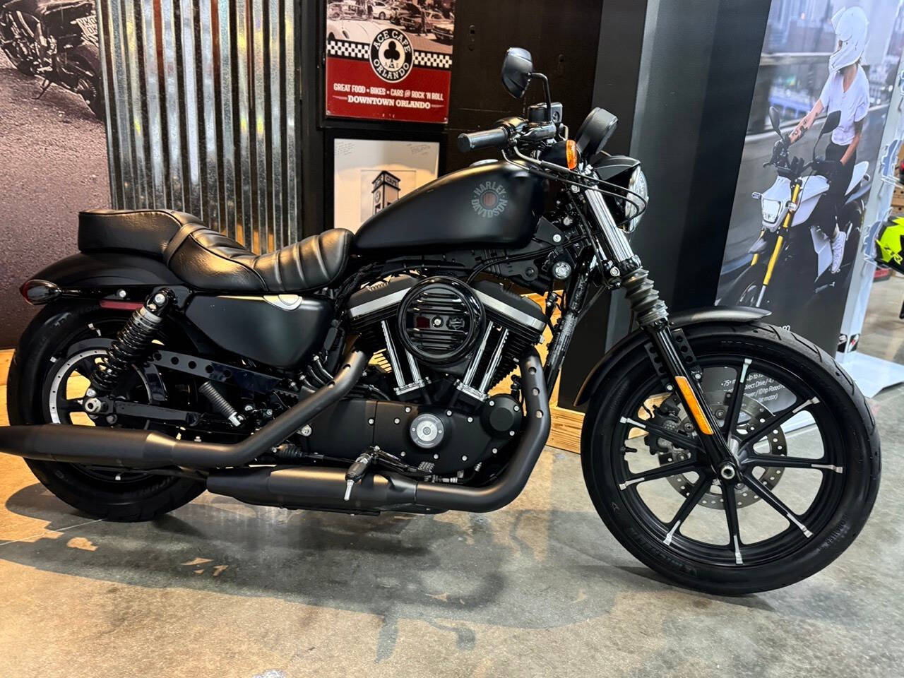 2022 Harley-Davidson XL 883 Sportster for sale at TEXAS MOTORS POWERSPORT in ORLANDO, FL