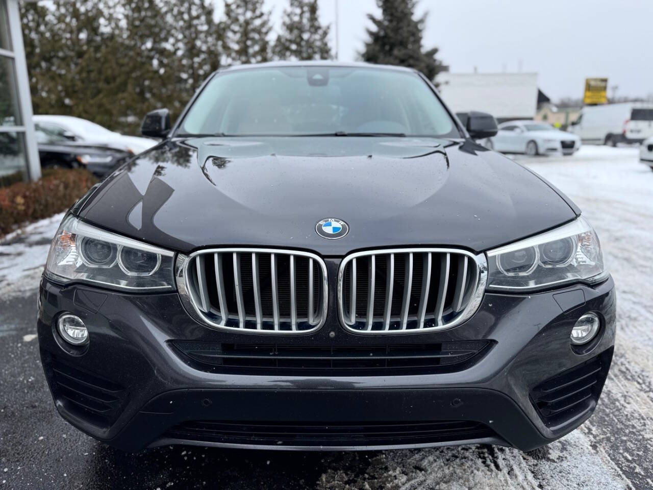 2017 BMW X4 for sale at Opus Motorcars in Utica, MI