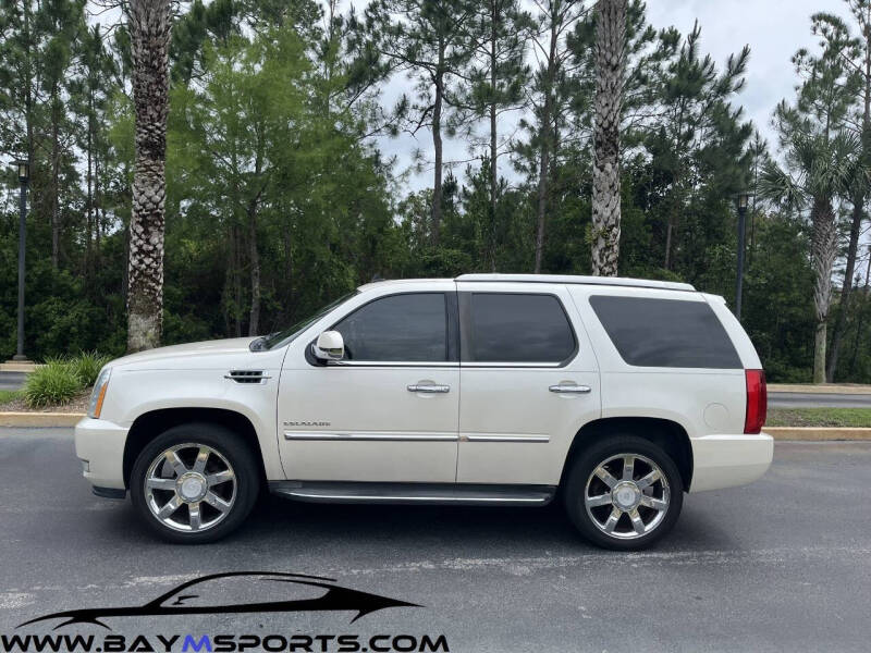 2010 Cadillac Escalade Luxury photo 1