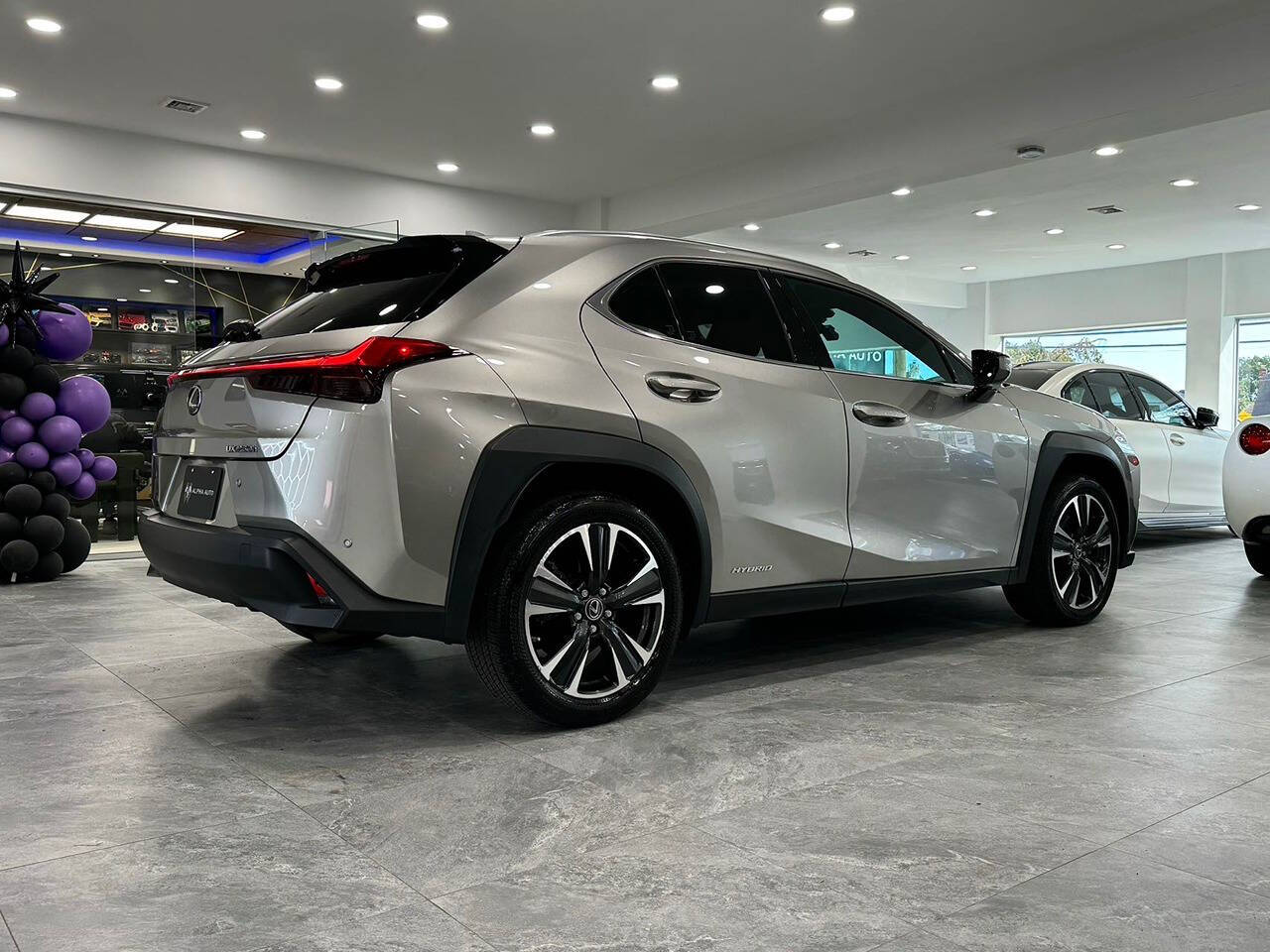 2021 Lexus UX 250h for sale at Alpha Auto Long Island in Westbury, NY