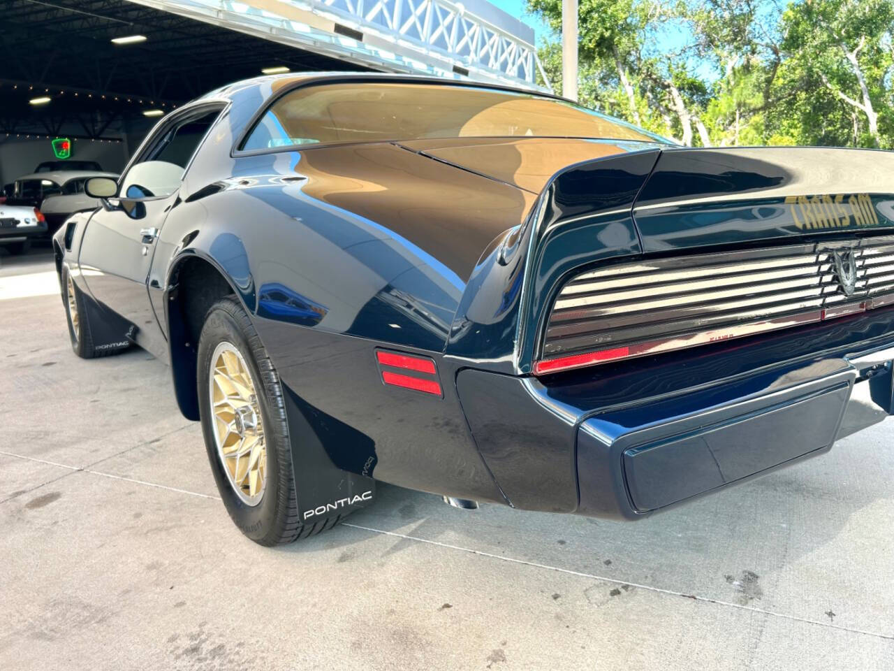 1981 Pontiac Firebird 16