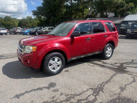 2011 Ford Escape XLT