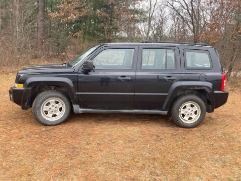 2010 Jeep Patriot for sale at Expressway Auto Auction in Howard City MI