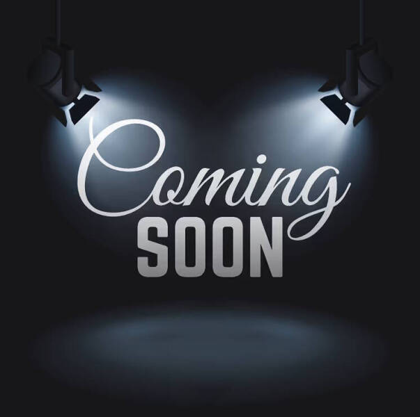 2013 Hyundai Sonata Limited 2.0T