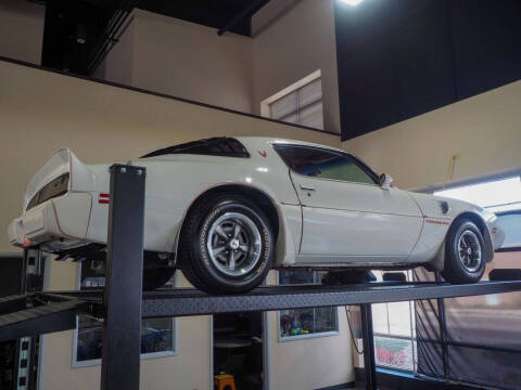 1981 Pontiac Firebird Trans Am