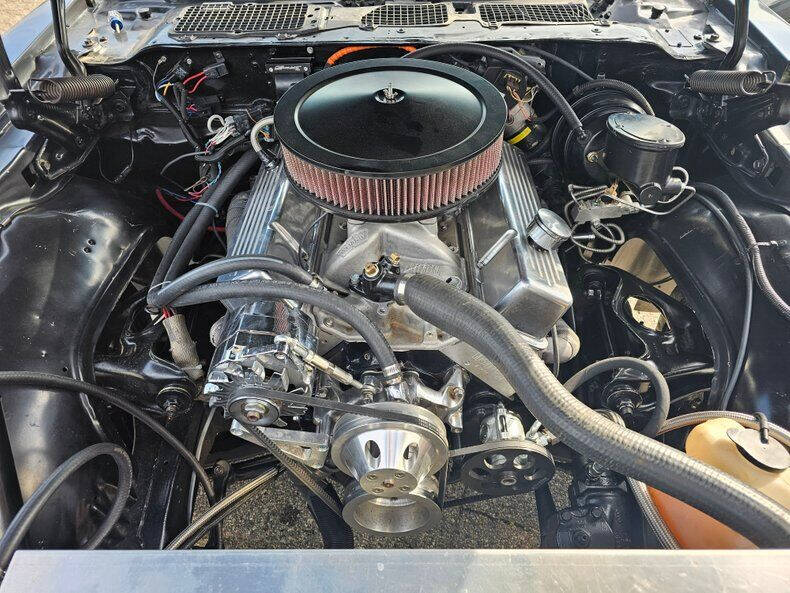 1981 Pontiac Firebird