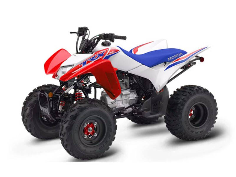 2025 Honda TRX250X for sale at Street Track n Trail in Conneaut Lake PA