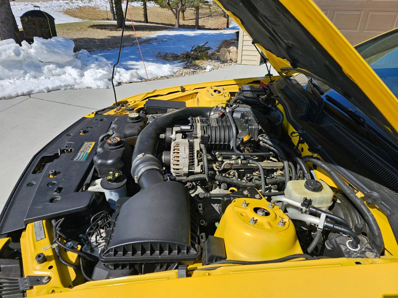 2006 Ford Mustang 205