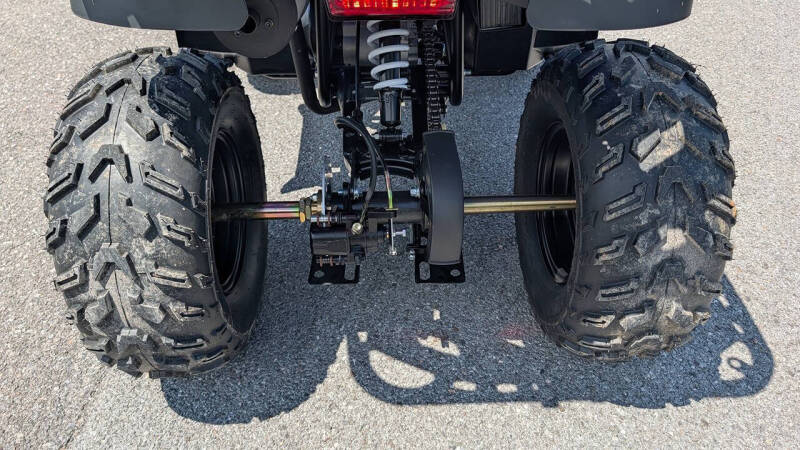 2025 TrailMaster 200 Utility