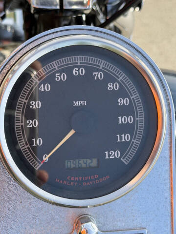 2001 Harley-Davidson FXSTSI