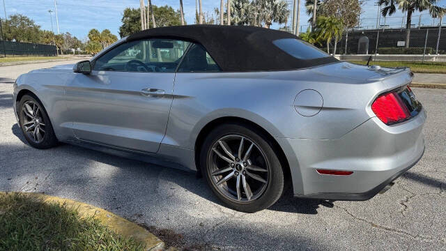 2017 Ford Mustang for sale at ABSOLUTE FLORIDA CARS LLC in TAMPA, FL