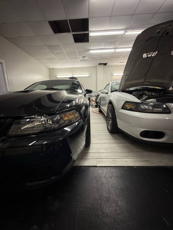 2003 Ford Mustang SVT Cobra