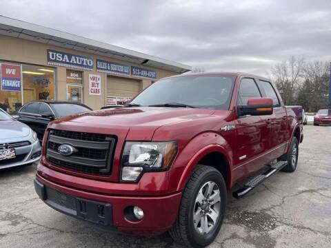 2013 Ford F-150 for sale at USA Auto Sales & Services, LLC in Mason OH